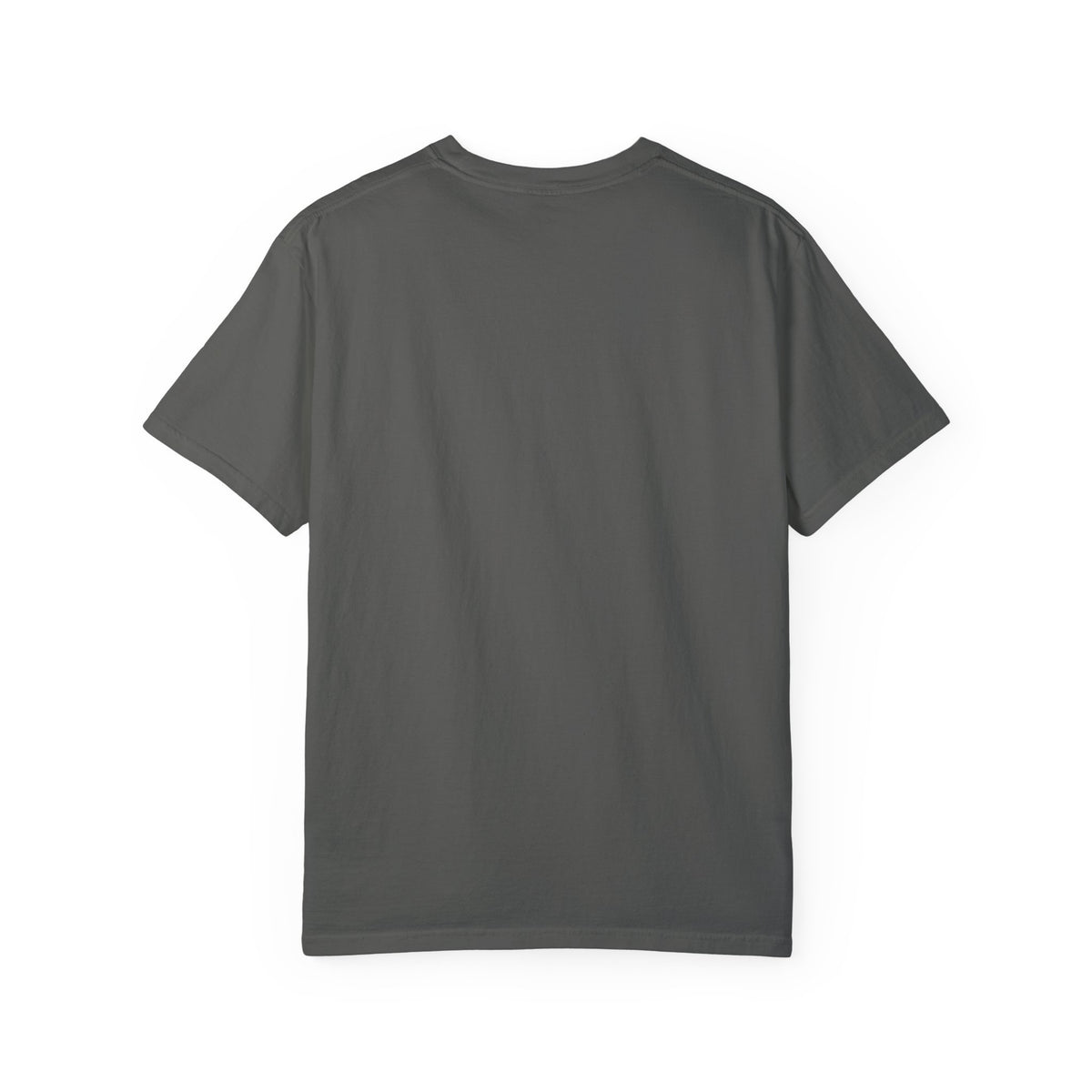 Funny AI 2025 FAFO Skynet Division T-shirt