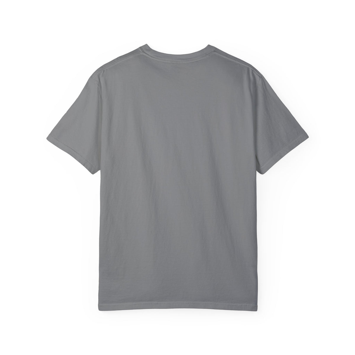Funny AI 2025 FAFO Skynet Division T-shirt